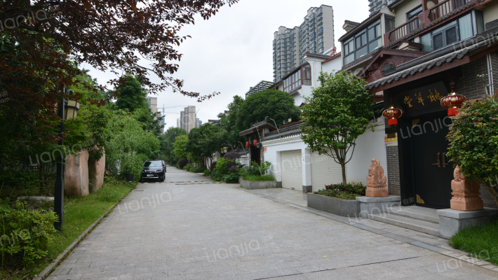 星语林汀湘十里外景图