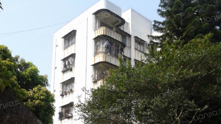 石化中学教师楼外景图