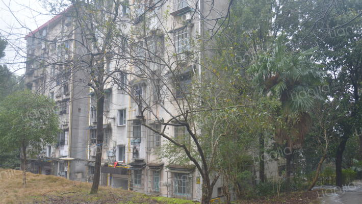 逸苑小区外景图