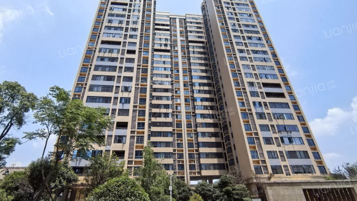 金晟年华外景图