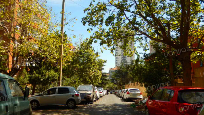 金坛支路外景图