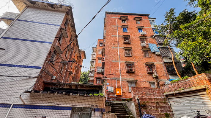 新生街36号外景图