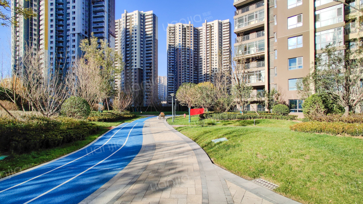 御锦城智慧树外景图