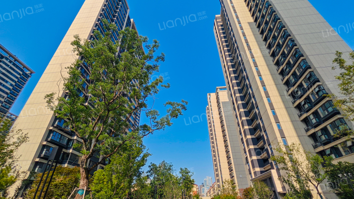 南门望府外景图