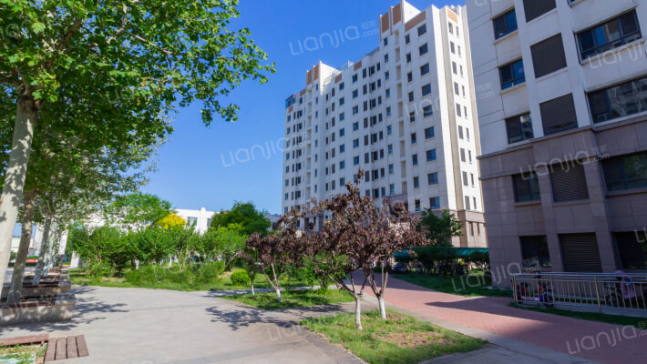 北岸印象外景图