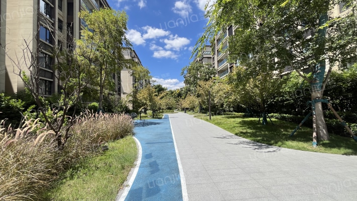 中交金科辰光外景图