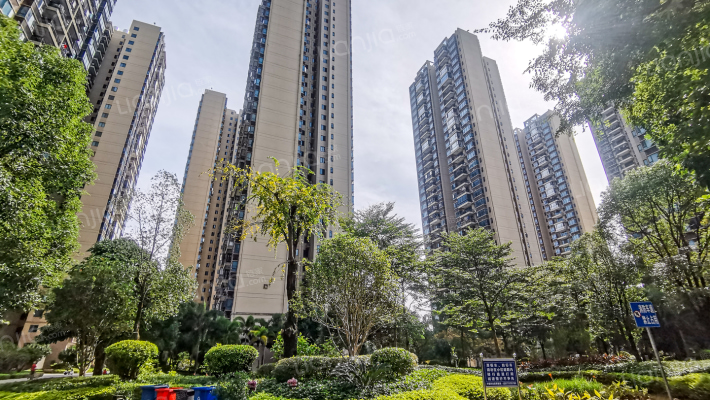 碧桂园公园壹号外景图