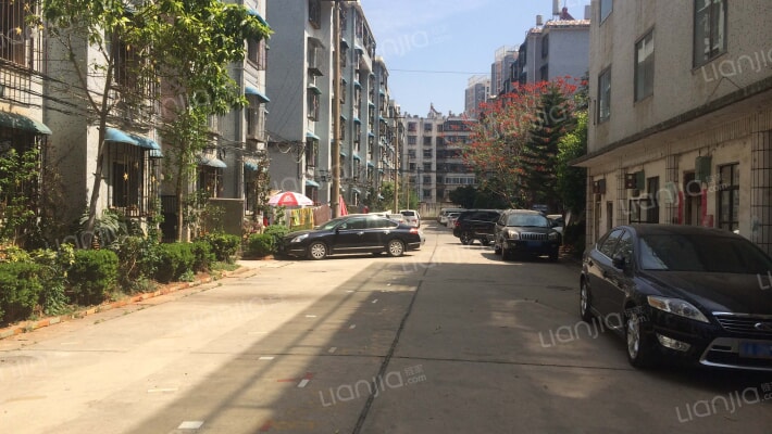 17号庭院外景图