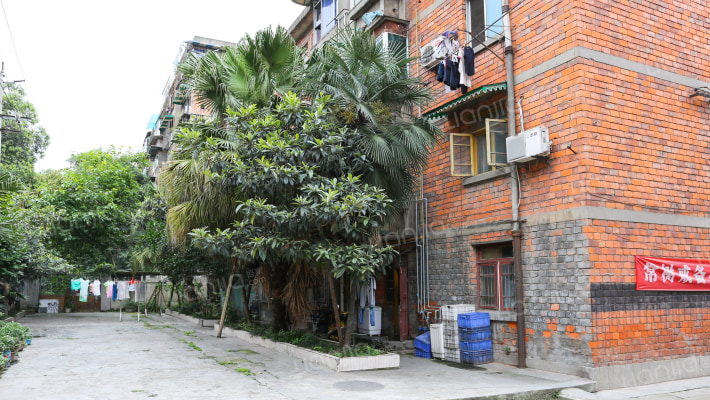 商业街25号外景图