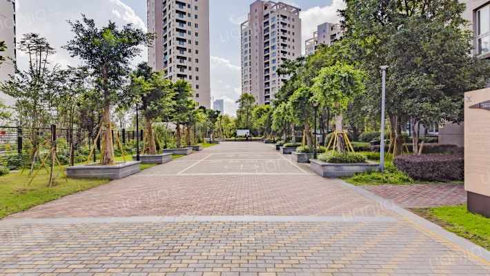 新田园四组团外景图