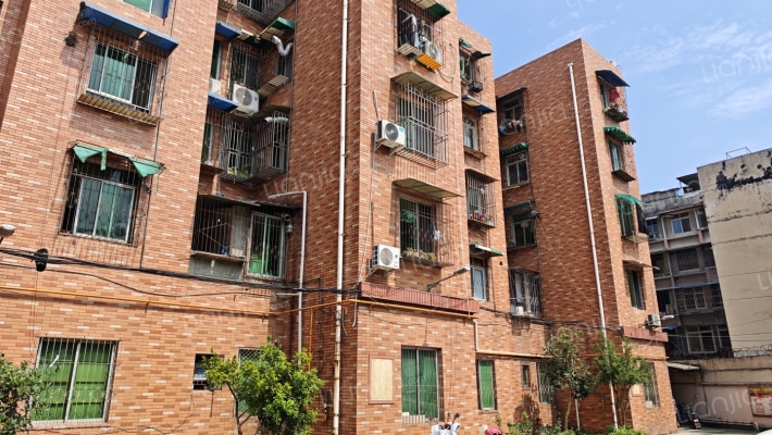 大北街163号外景图