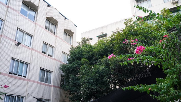 湖南公路外景图