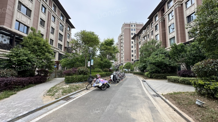 天成枫华丽致外景图