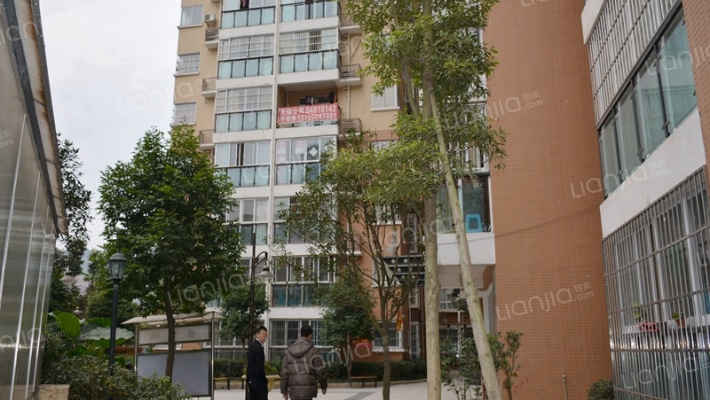 东山河畔外景图