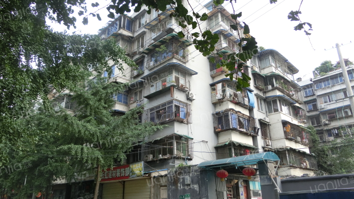 栅子街3号外景图