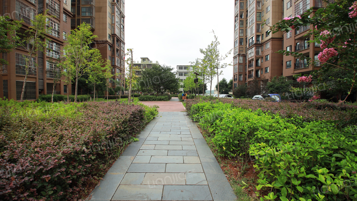 鑫天格林香山外景图