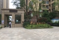 保利紫荆花语6