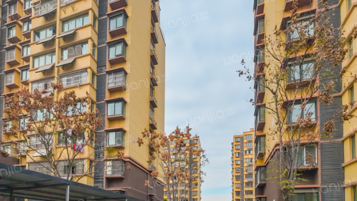 凤凰星城外景图