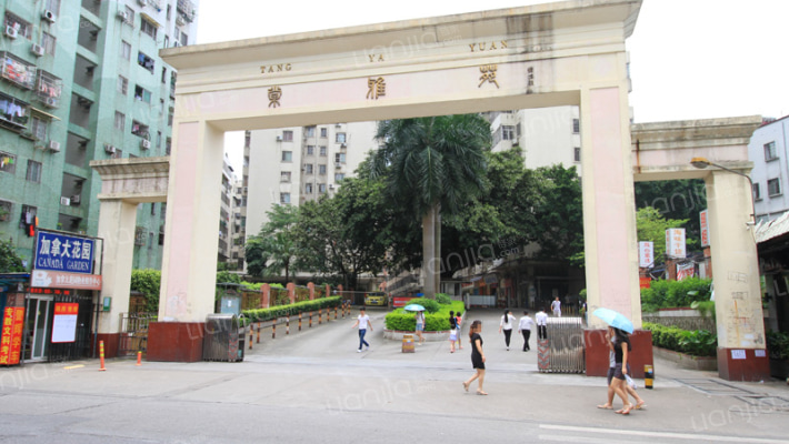 棠雅苑外景图