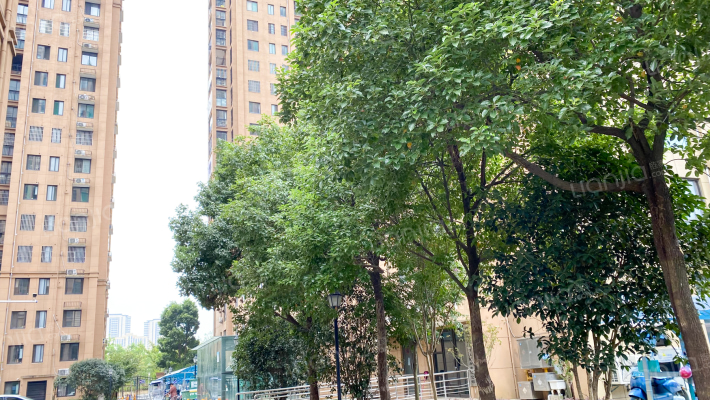 水岸豪庭外景图