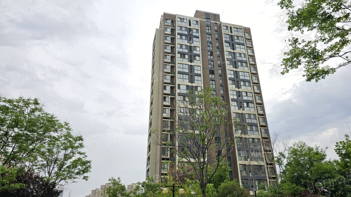 泰山·新兴园外景图