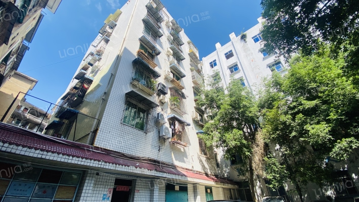 新民街29号外景图