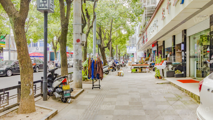 镇大路211外景图