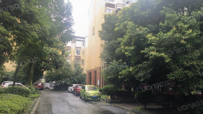 杜鹃园(杜鹃街)外景图