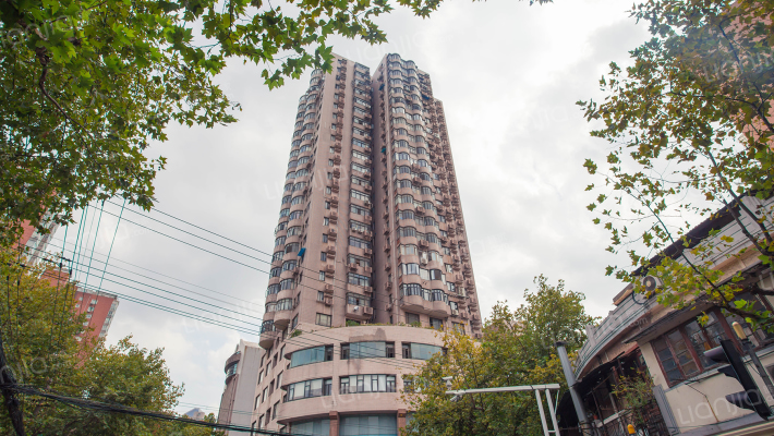 隆安公寓外景图