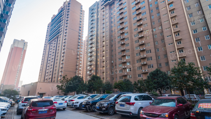 芙蓉花苑外景图