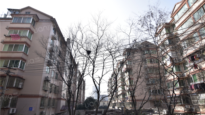 中星苑三期外景图