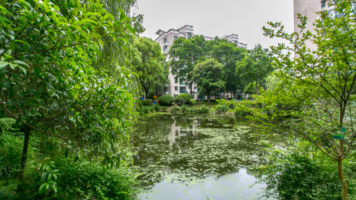 住友昌盛新苑外景图