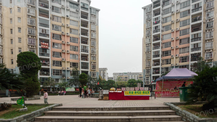 花前树下外景图