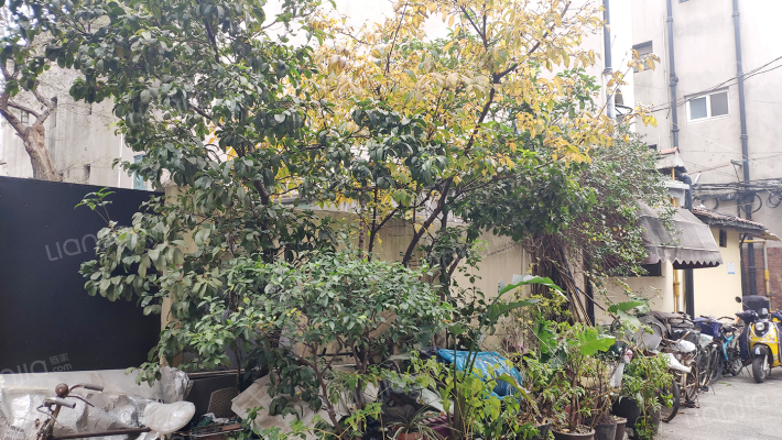 沪江别墅外景图