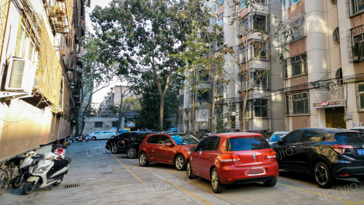 国土资源厅家属院(政六街)外景图