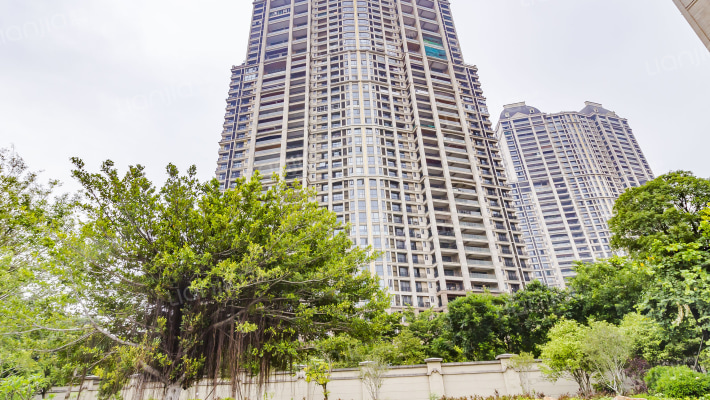 桂畔上东区外景图