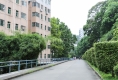 鹏兴花园一期19