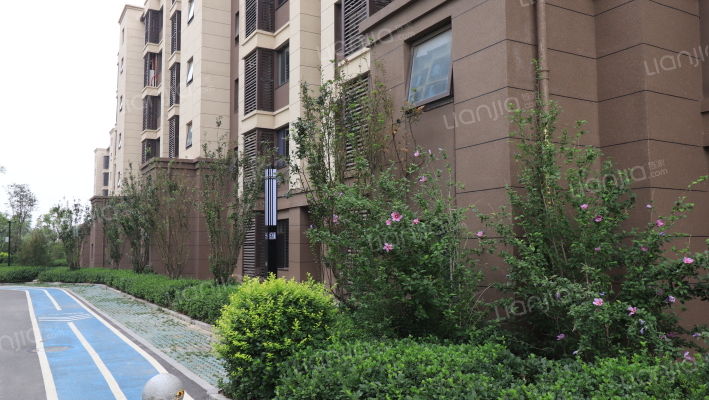 中建玖樾府外景图