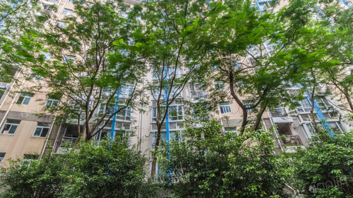 桃源居七区外景图