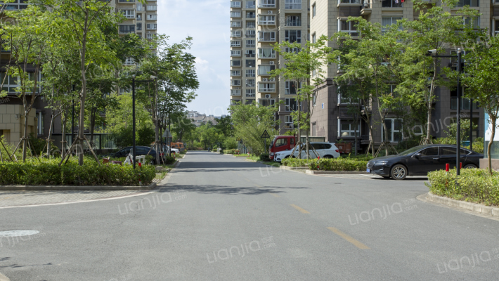 大桥新村外景图