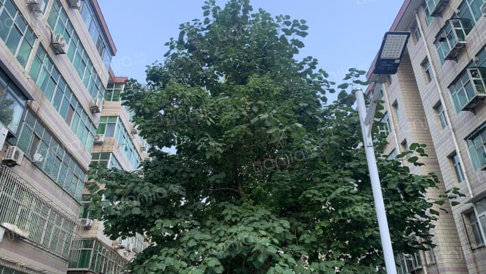 裕龙小区 外景图