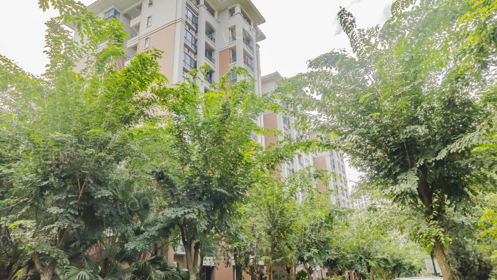 阳光粤港外景图