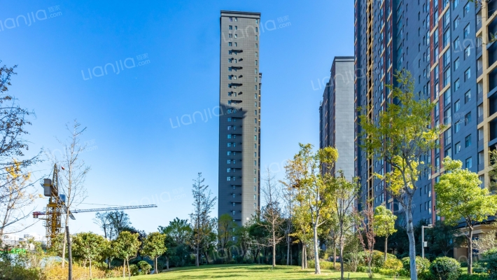 百合花园外景图