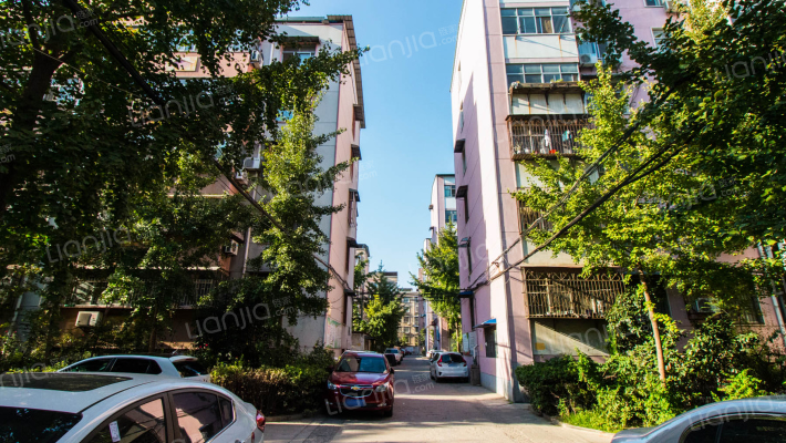 运输公司家属院北区外景图