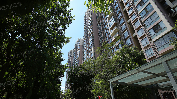 瑞禾明庭外景图