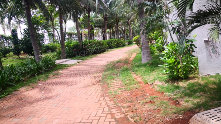 金色阳光温泉度假酒店公寓外景图