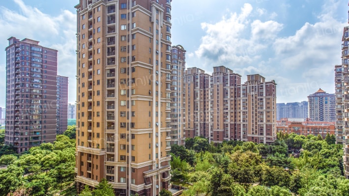 金色贝拉维外景图