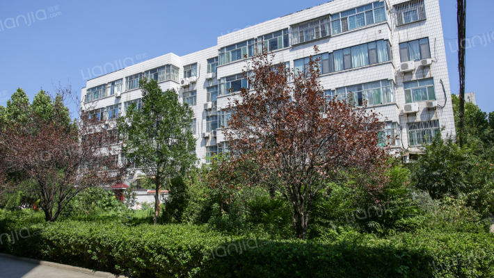 地税稽查局宿舍楼外景图