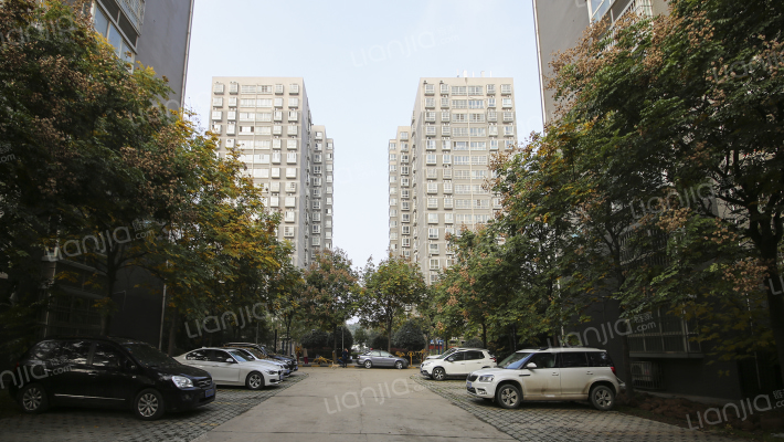 西瑞北国之春外景图