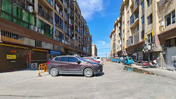 龙新嘉园外景图